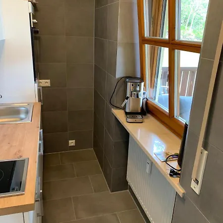 Apartment Fewo Blick Zum Silberberg *